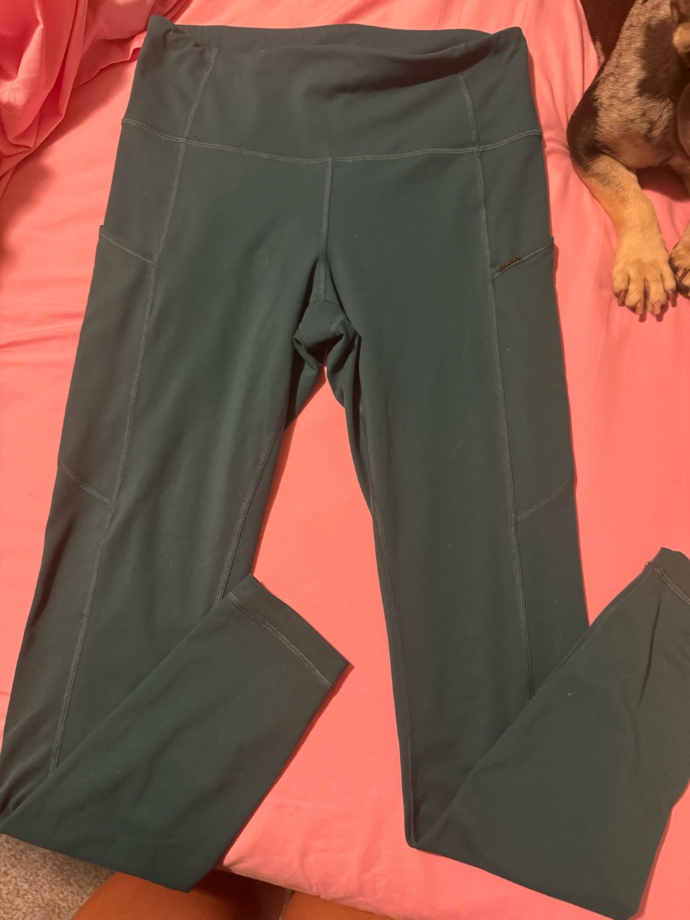 Women's High-Waist Forest Green Performance Leggings